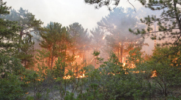 Tabiata en büyük zararı insanlar veriyor