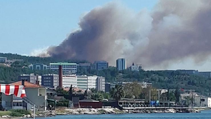Çanakkale'de orman yangını! Hastaneler tahliye edildi