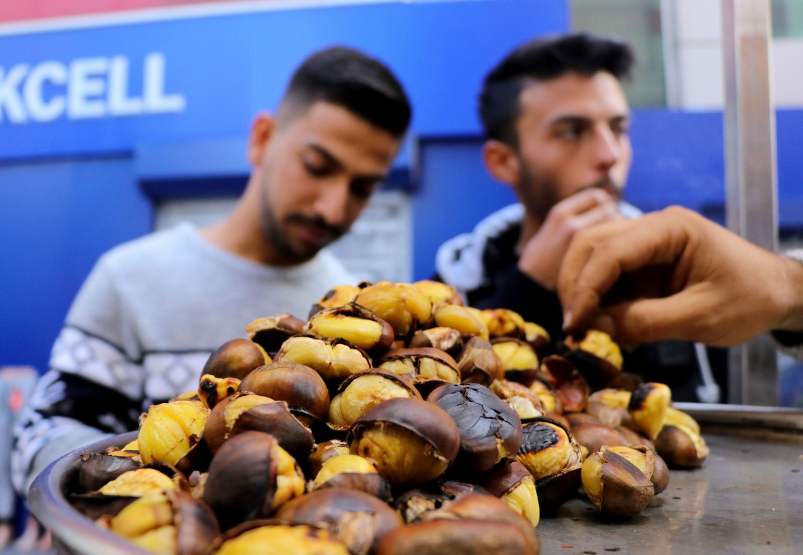 Kestane kırmızı eti solladı