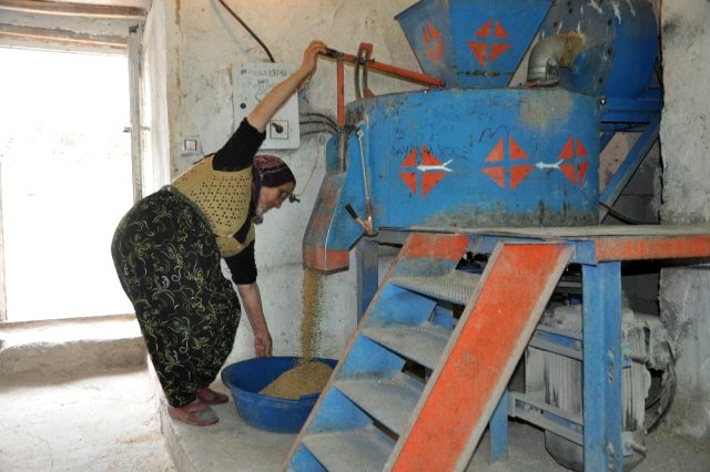 70 yaşındaki nine 10 kişinin yapamadığı işi tek başına yapıyor