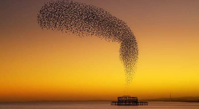 Manzara fotoğraflarının en güzelleri