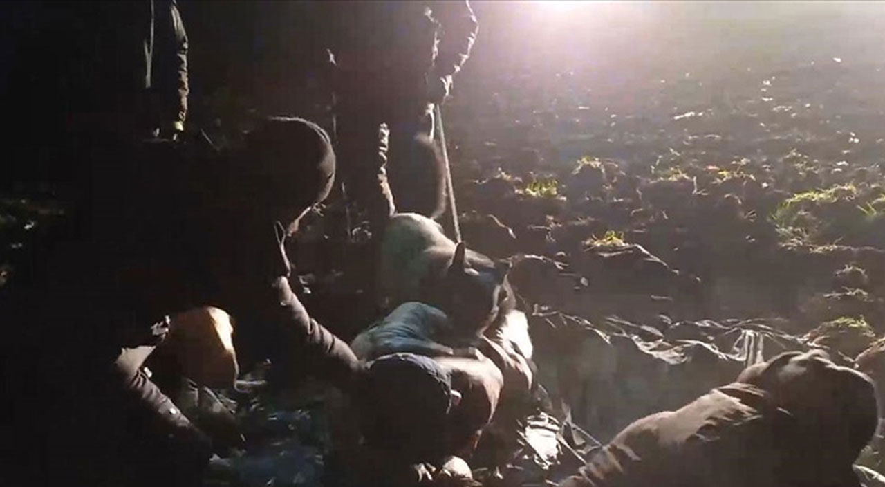 Belarus-Polonya sınırında göçmenlere köpeklerle müdahale edildi