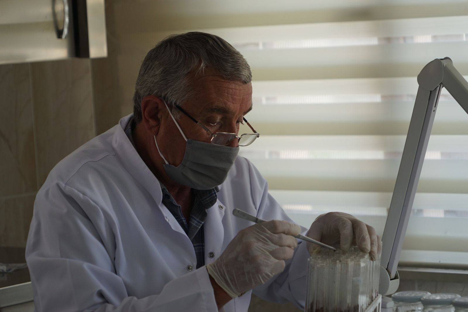 Orman ekosistemini koruyor! Bu böcekler laboratuvarda üretiliyor