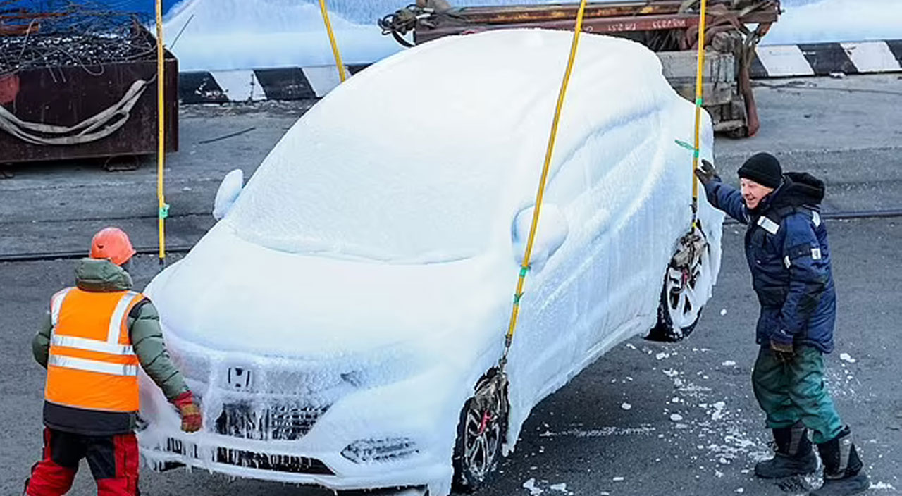 Japonya'dan gelen yük gemisinde ilginç görüntü