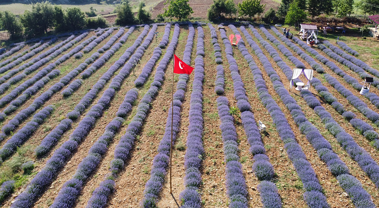 Kırsal mahalle turizmin merkezi oldu! Adeta açık hava stüdyosu, binlerce ziyaretçi uğruyor