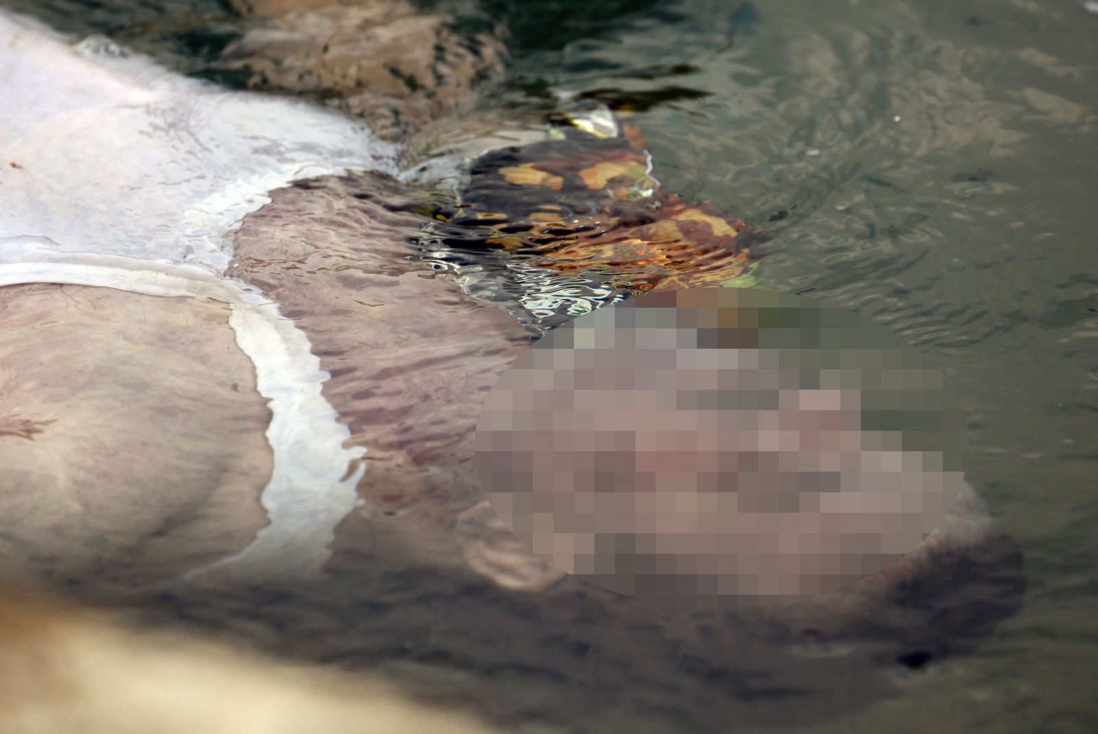 Sulama kanalında korkunç görüntü!