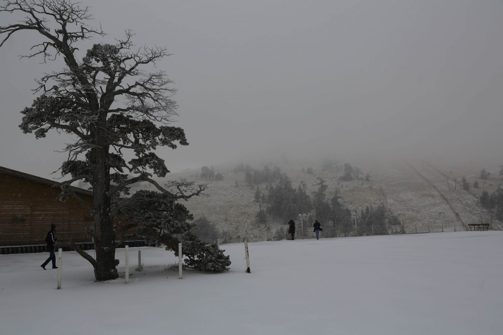 Bolu'da kar yağışı başladı