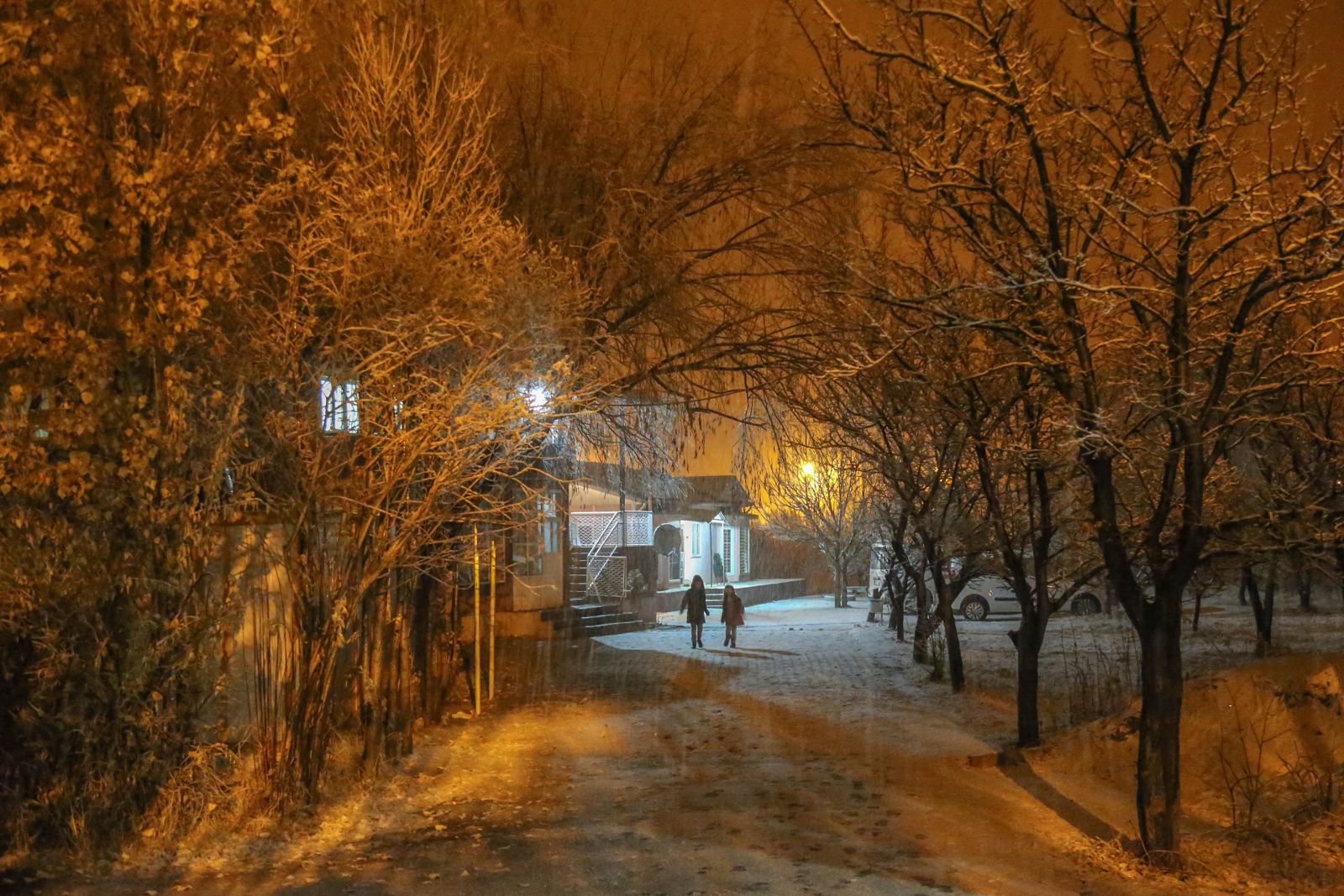 Doğu ve Güneydoğu kara teslim