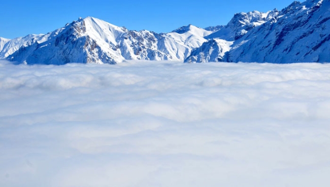 Bu manzarayı görenler şaşkına döndü!