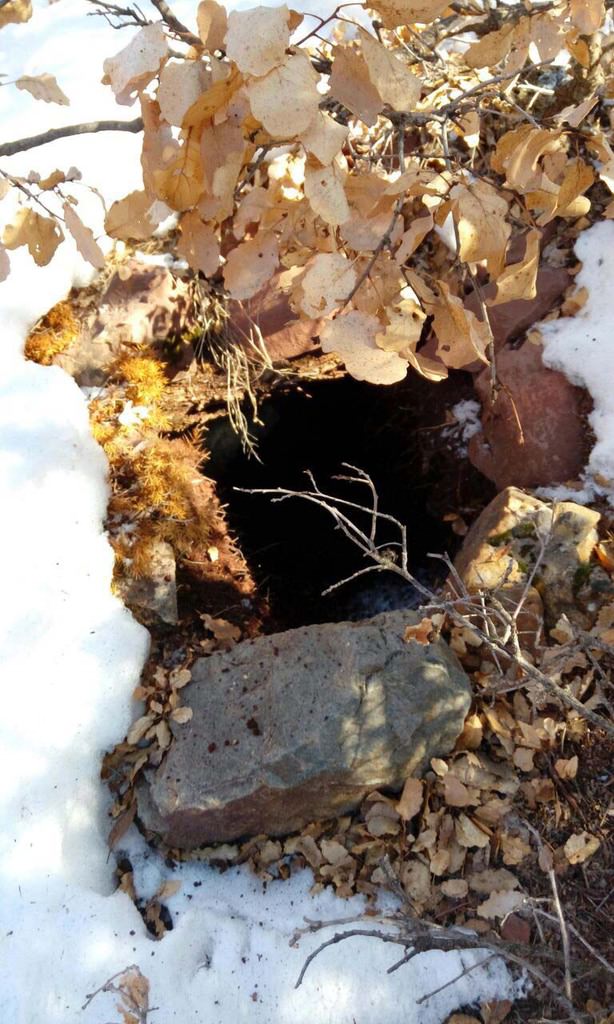 Terör örgütü PKK'ya büyük darbe