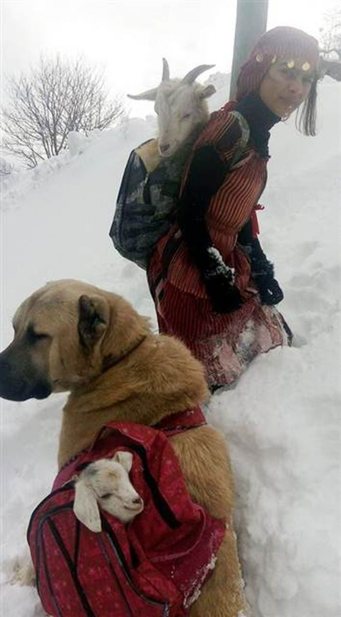 Rize'de çekilen fotoğrafın sırrı ortaya çıktı