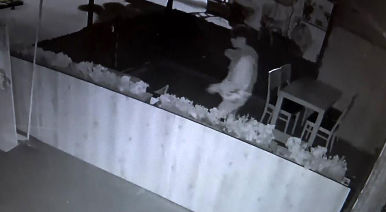 Arnavutköy’de pes dedirten olay: Önce soydu sonra dükkanın ortasına tuvaletini yaptı