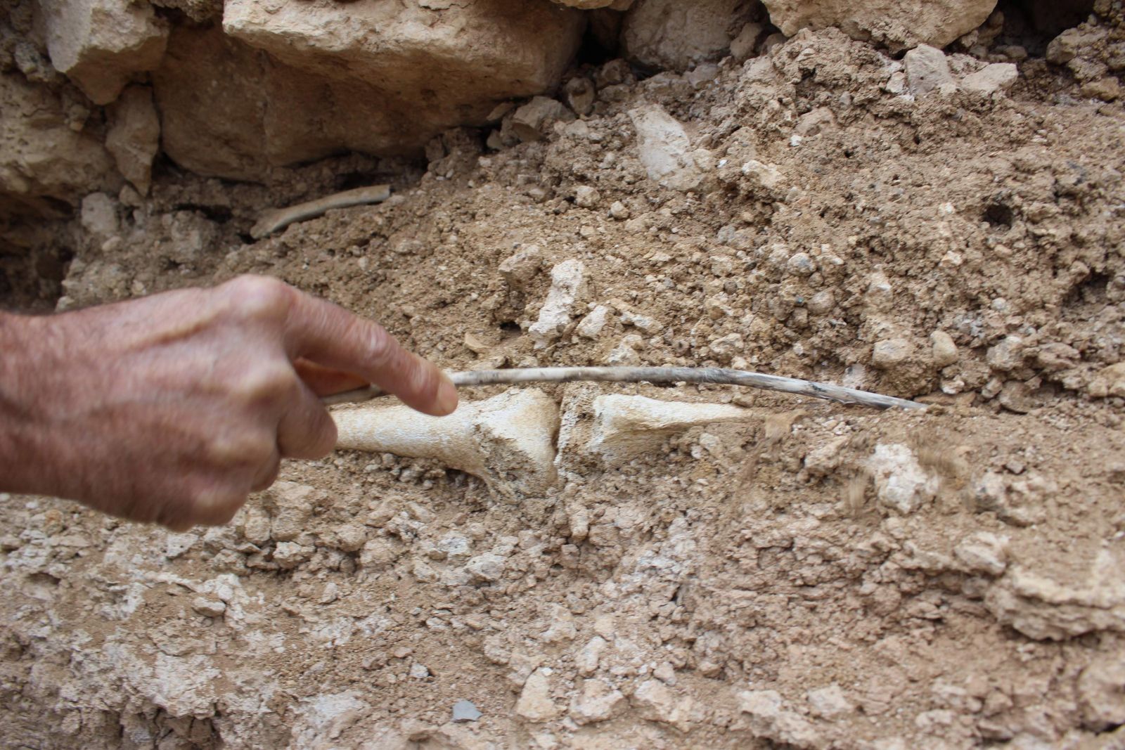 Türbedeki iskelet gün yüzüne çıktı