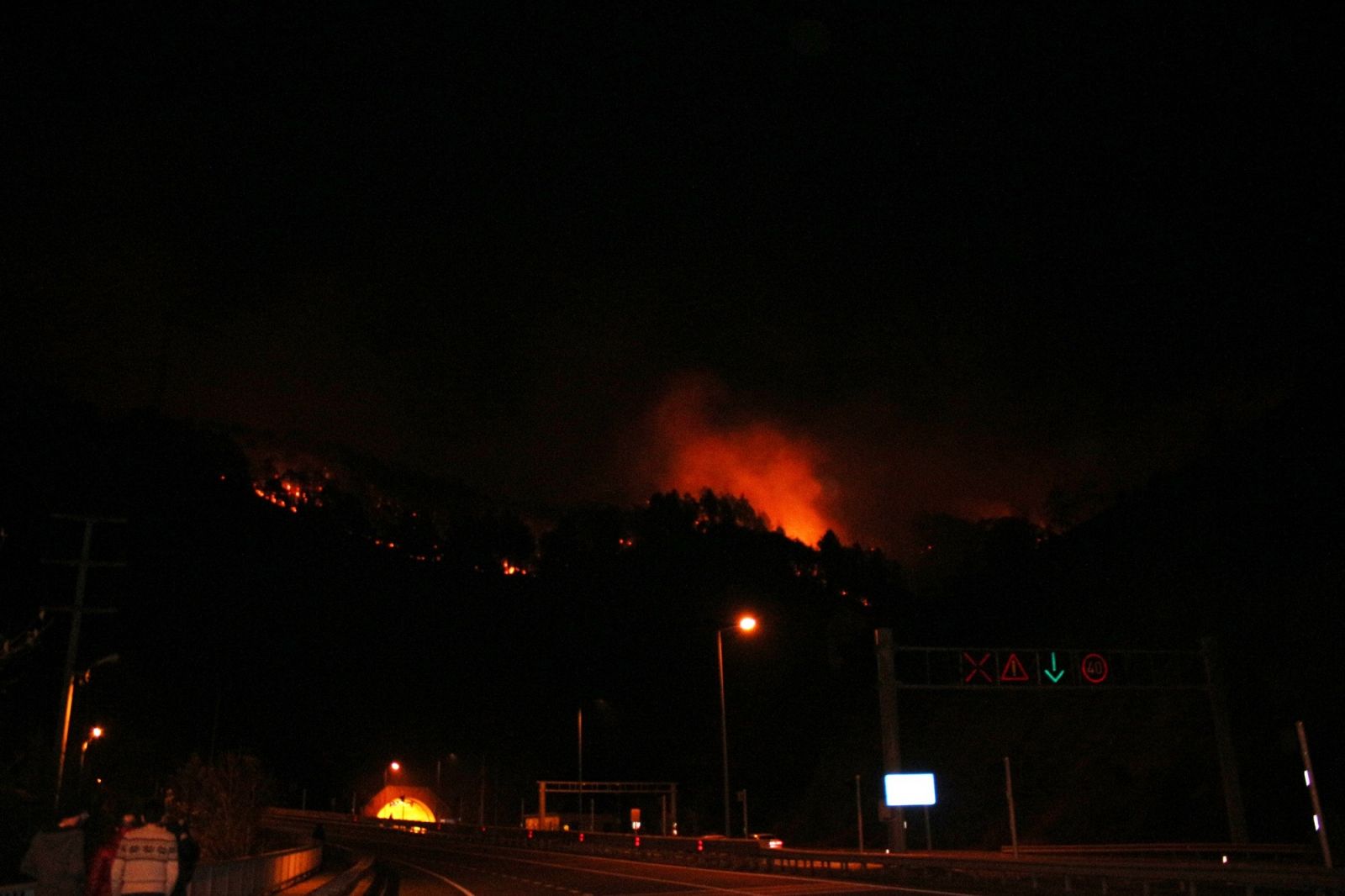Trabzon Sürmene'de orman yangını
