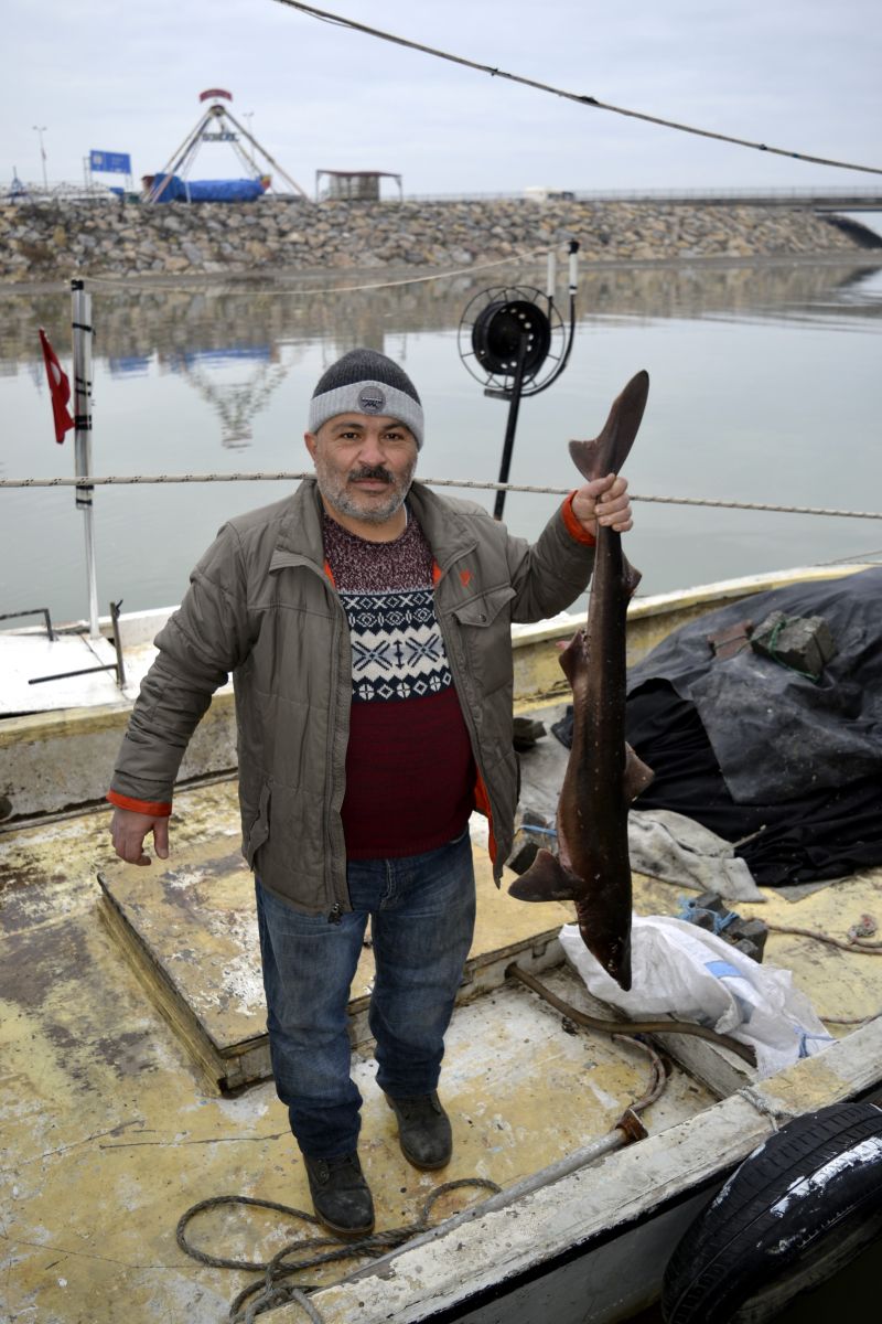 Karadeniz'de köpek balığı yakalandı
