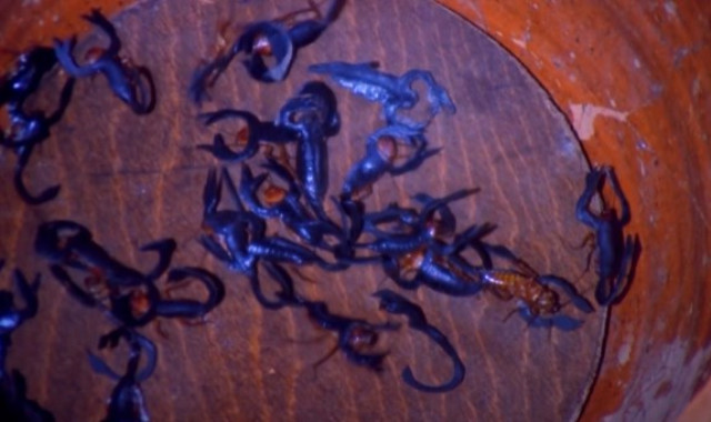 'Battal Gazi' filmindeki akrepli işkence sahnesinin sırrı ortaya çıktı