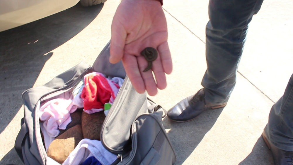 Çorapların içinden 26 bin sülük çıktı