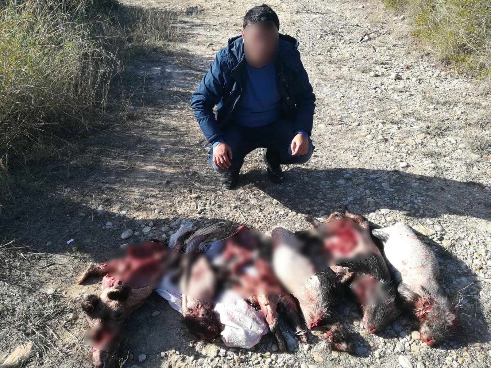 Kirpi avına 11 bin lira ceza