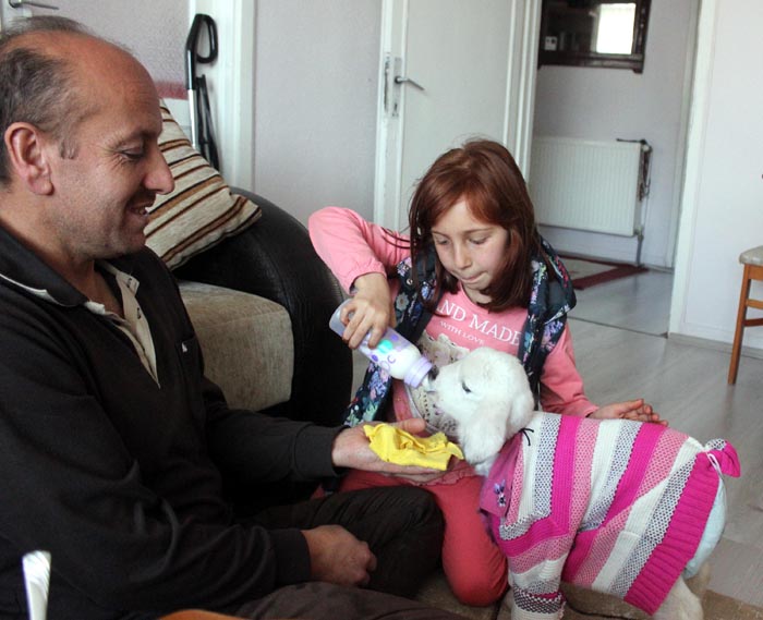 Kuzuya evde bebek gibi bakıyorlar