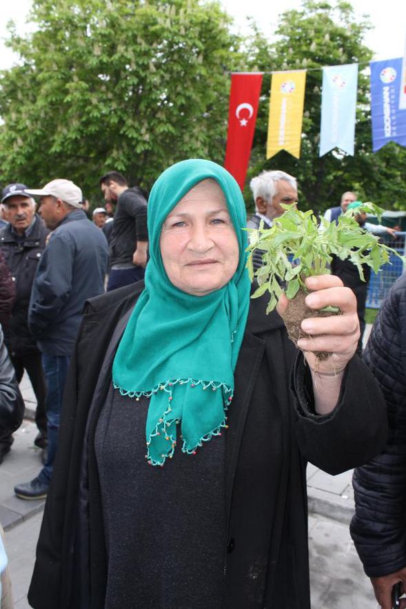 Kayseri'de 1 kilometrelik domates fidesi kuyruğu
