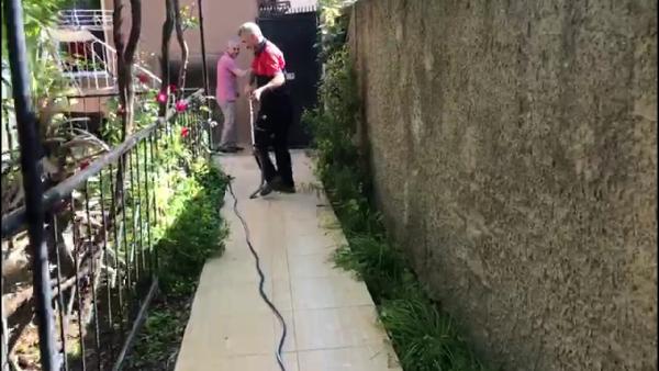 Bahçede oturan aileye yılan şoku