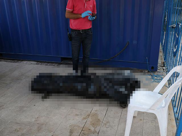 Boynunda iki plastik kelepçeyle denizde bulunan cesedin kimliği belirlendi