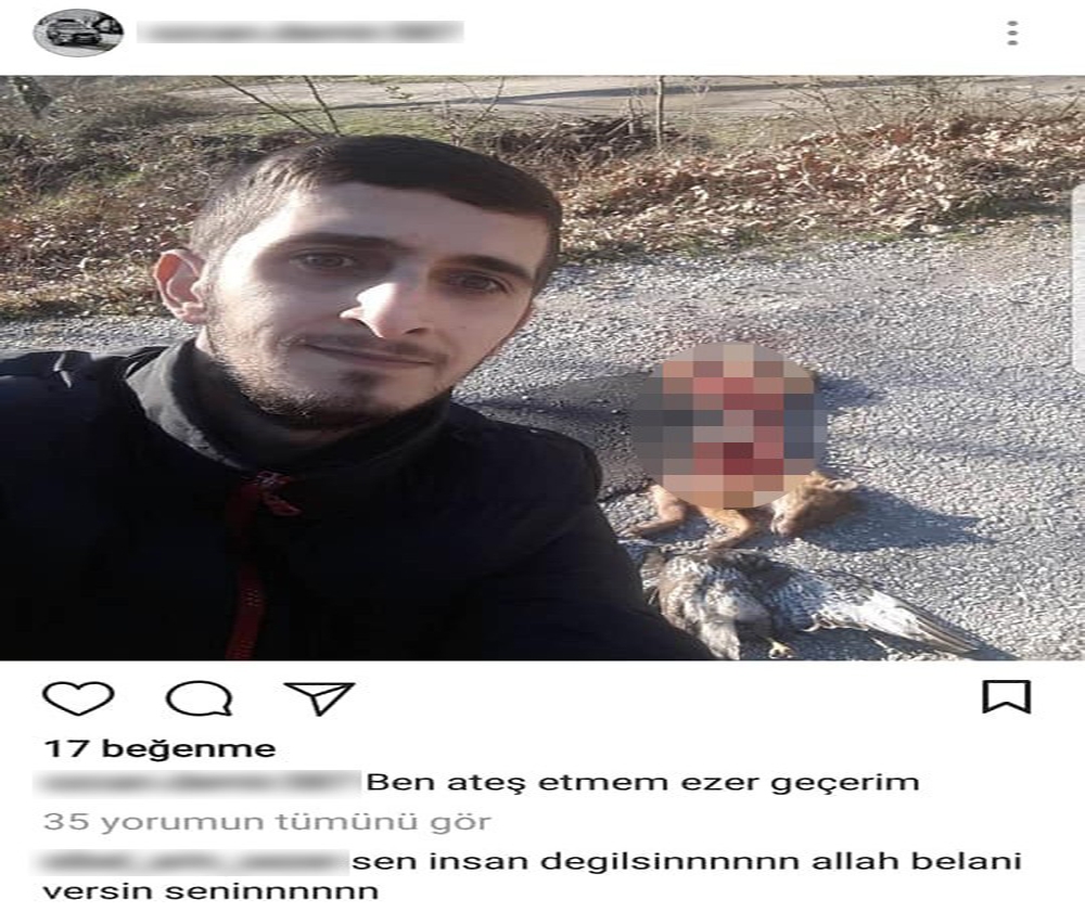 Hayvanseverleri ayağa kaldıran paylaşım