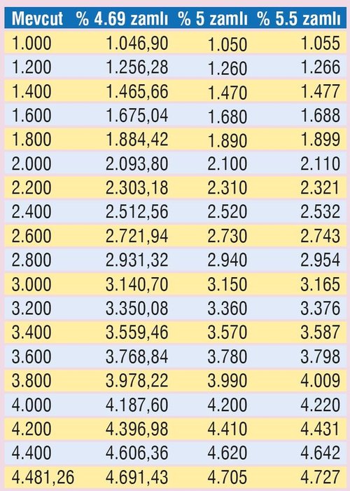 Müjde! Maaşlar 246 lira artacak!