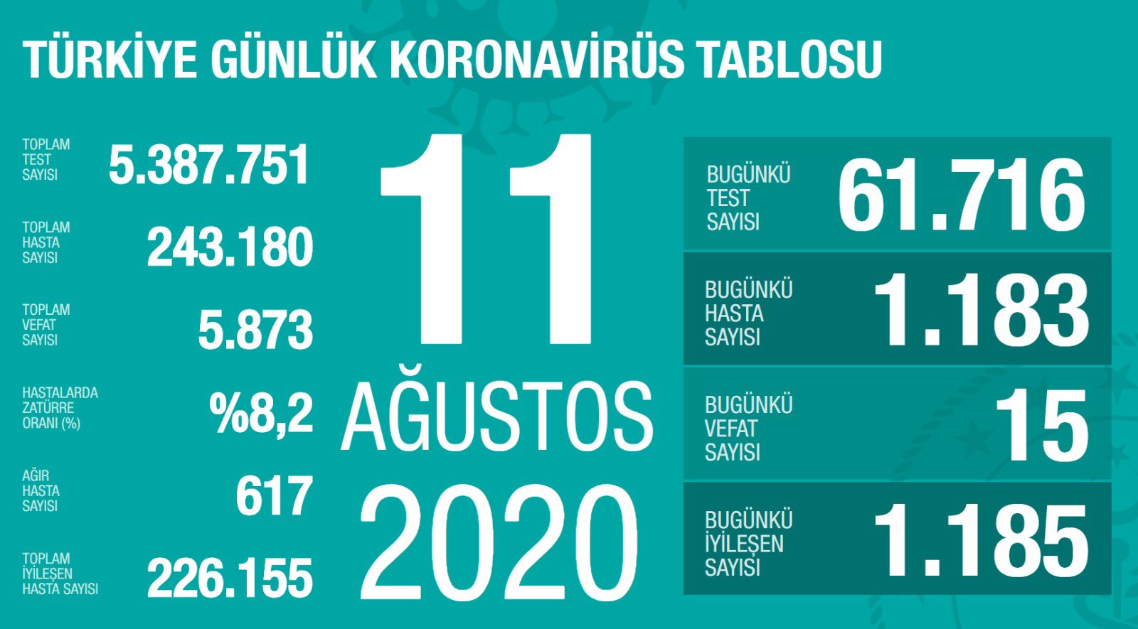 Türkiye'de 11 Ağustos günü koronavirüs kaynaklı 15 can kaybı, 1183 yeni vaka tespit edildi
