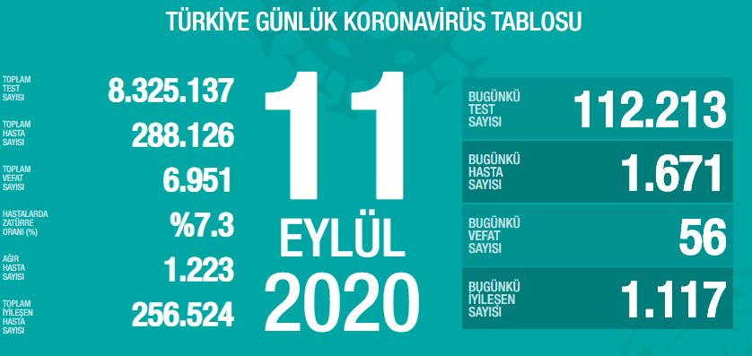Türkiye'de Covid-19'dan bugün 56 kişi hayatını kaybetti
