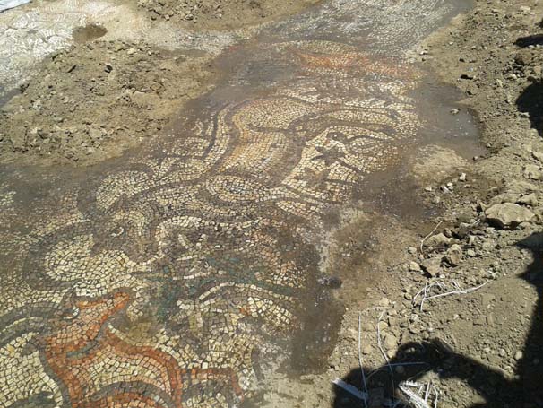 Tarlada bulunan mozaik 24 saat korunuyor