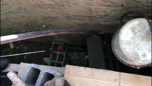 Bahçede oturan aileye yılan şoku