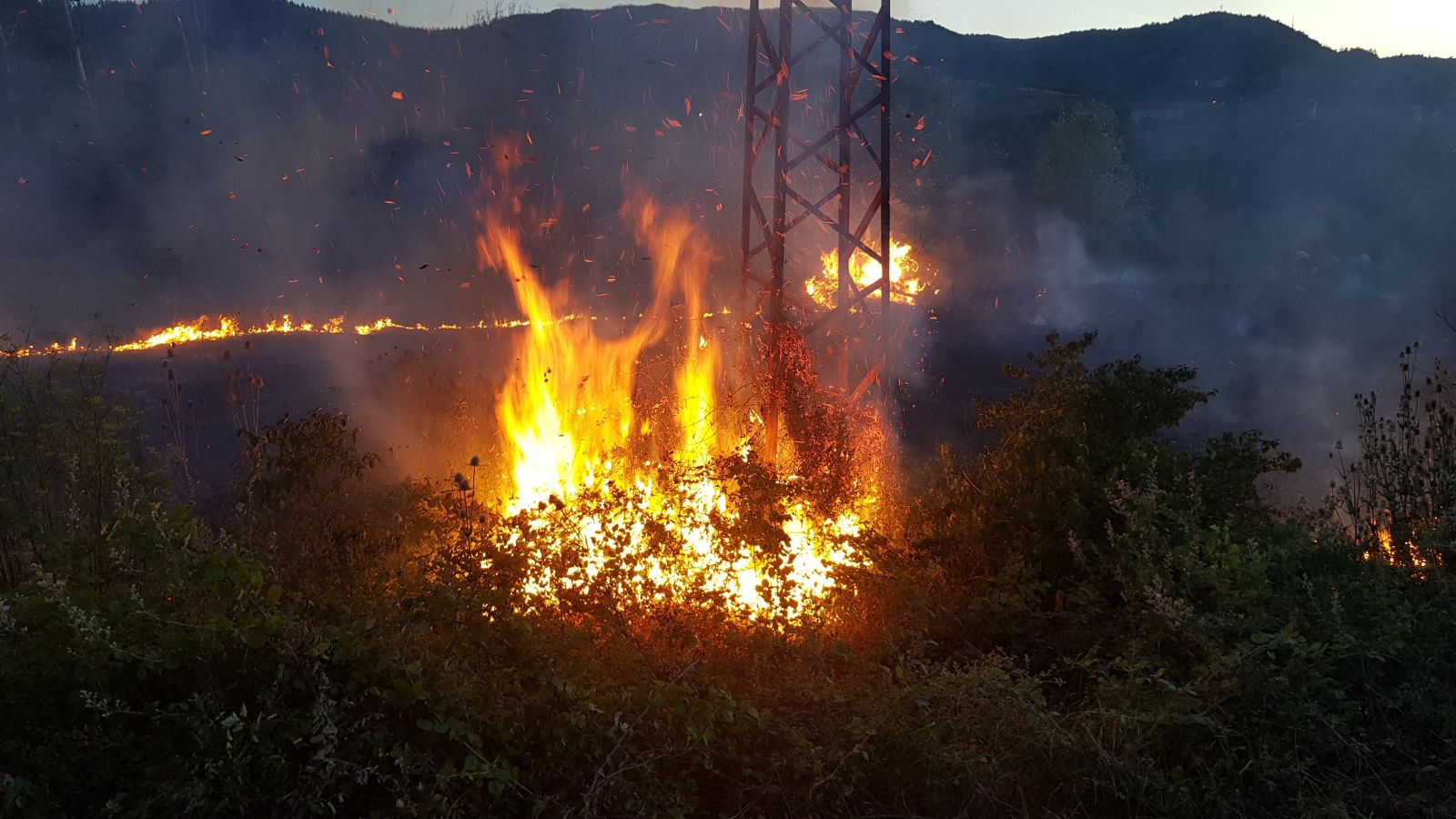 Anız yangınına kova ve hortumla müdahale ettiler