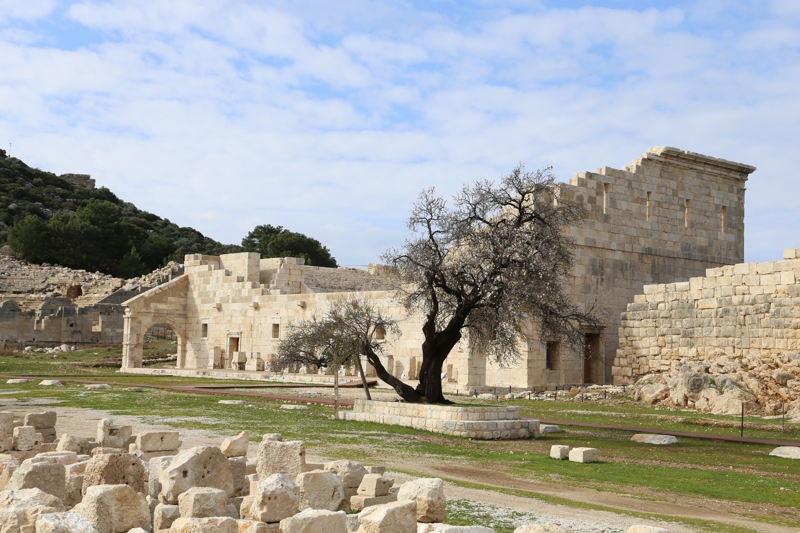 2020 'Patara yılı' ilan edildi