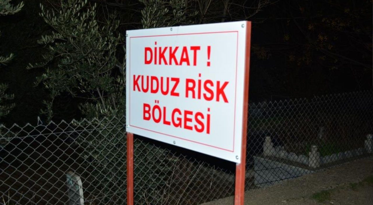 7 vatandaşa saldıran köpek kuduz çıktı, mahalle karantinaya alındı