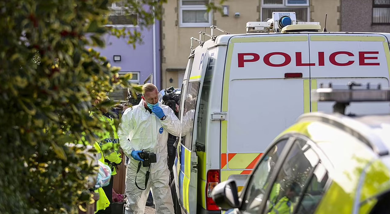 İngiltere'de bir pitbull 17 aylık bebeği öldürdü