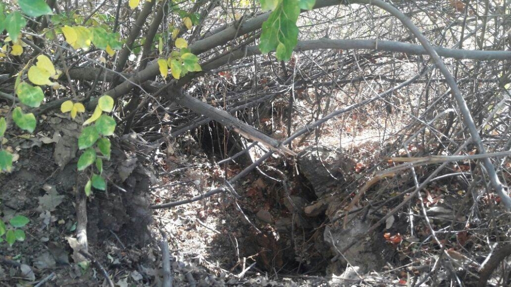 Batman'da terör örgütüne bir darbe daha