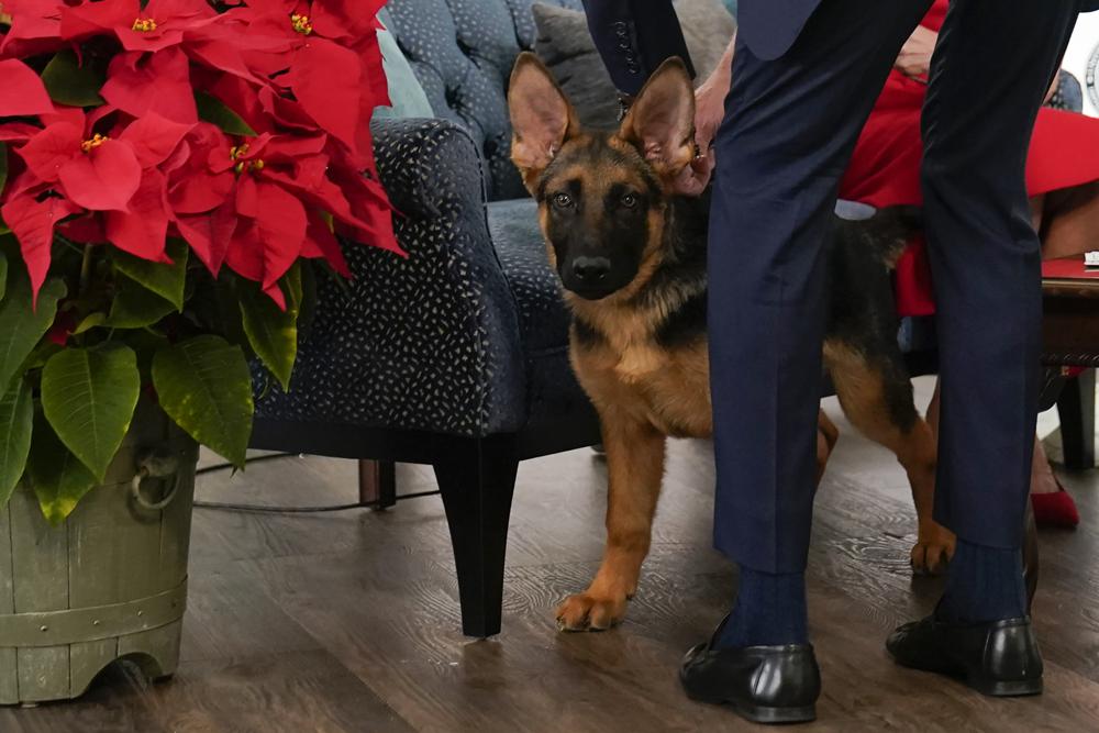 Biden'a canlı yayında telefon şakası