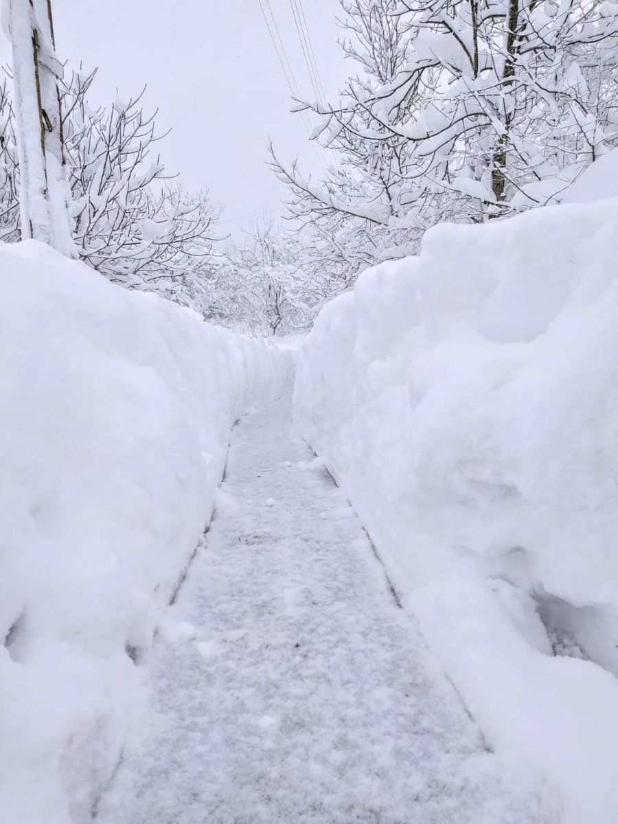 İstanbul'a kar yağışı başladı