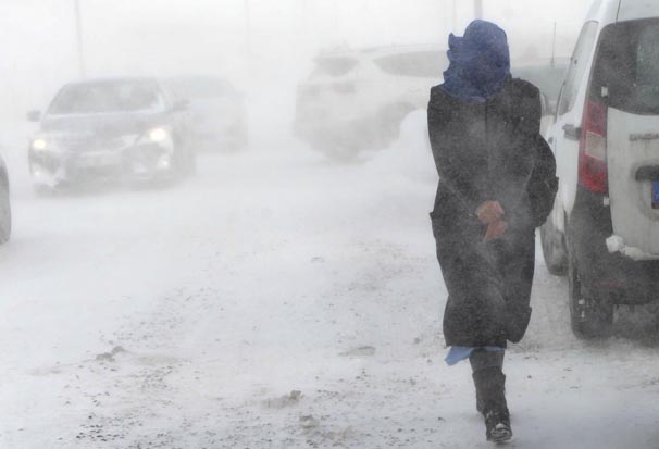 Doğu Anadolu'da dondurucu soğuk