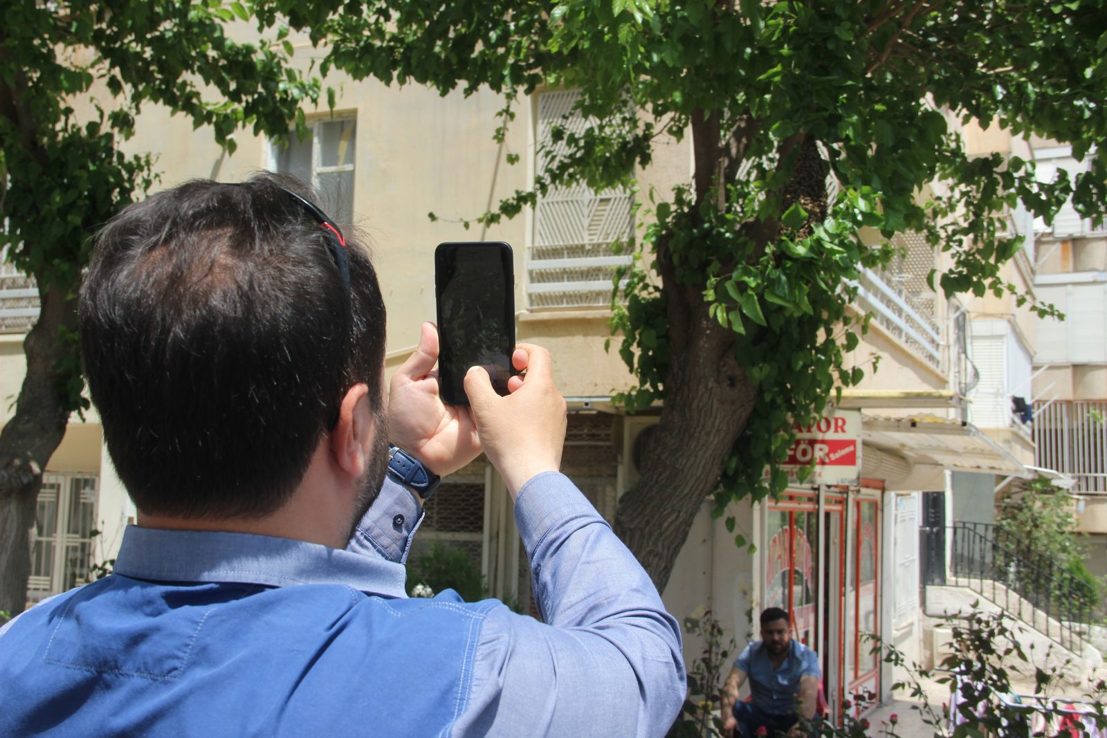Kovanını terk eden bal arıları mahalleyi istila etti