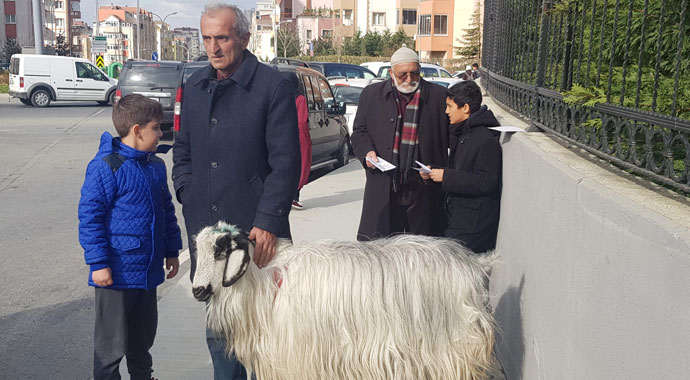 Oy vermeye keçisiyle geldi