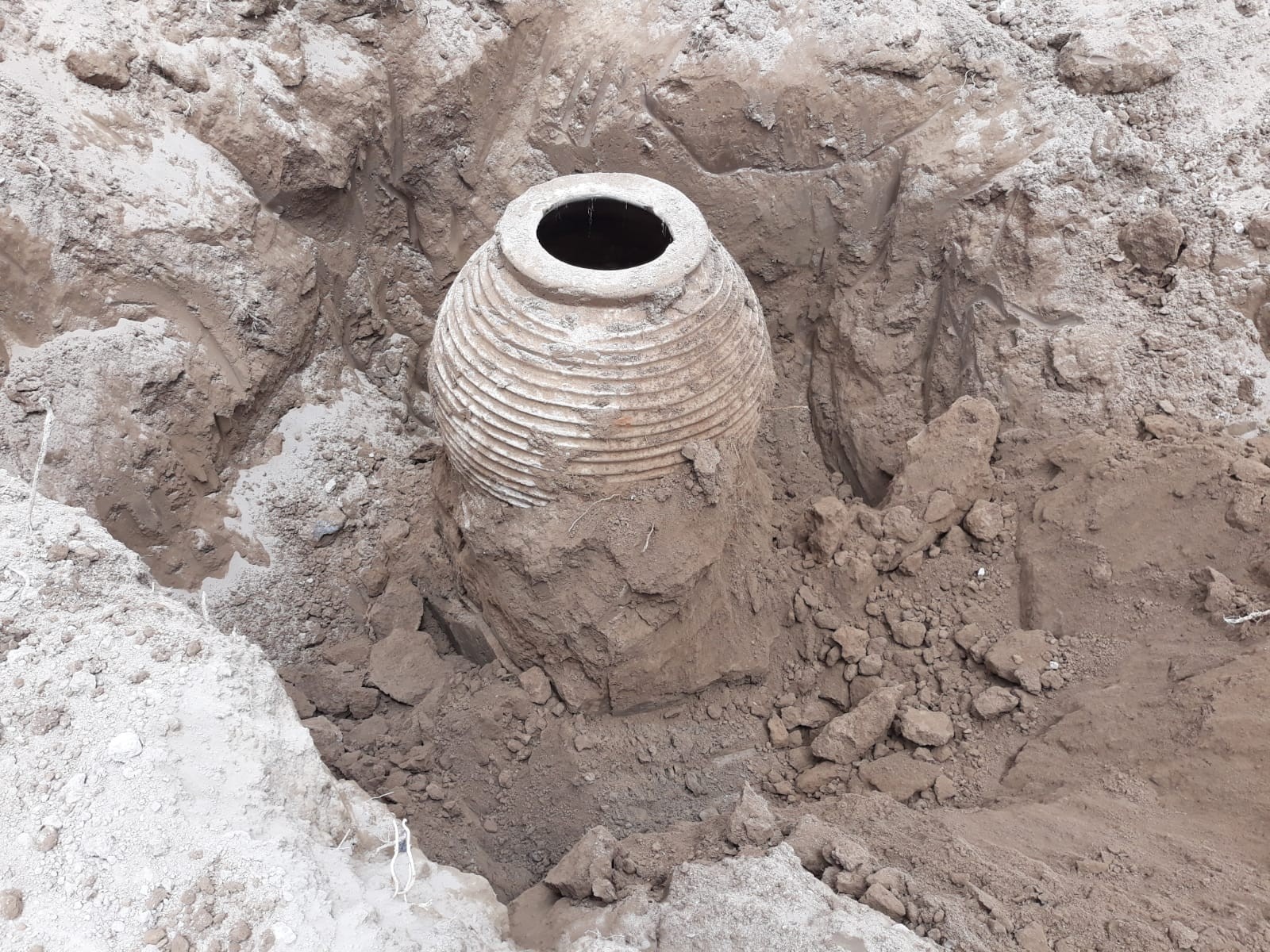 Tarlasını sürerken Roma döneminden kalma 2 bin yıllık pitos buldu