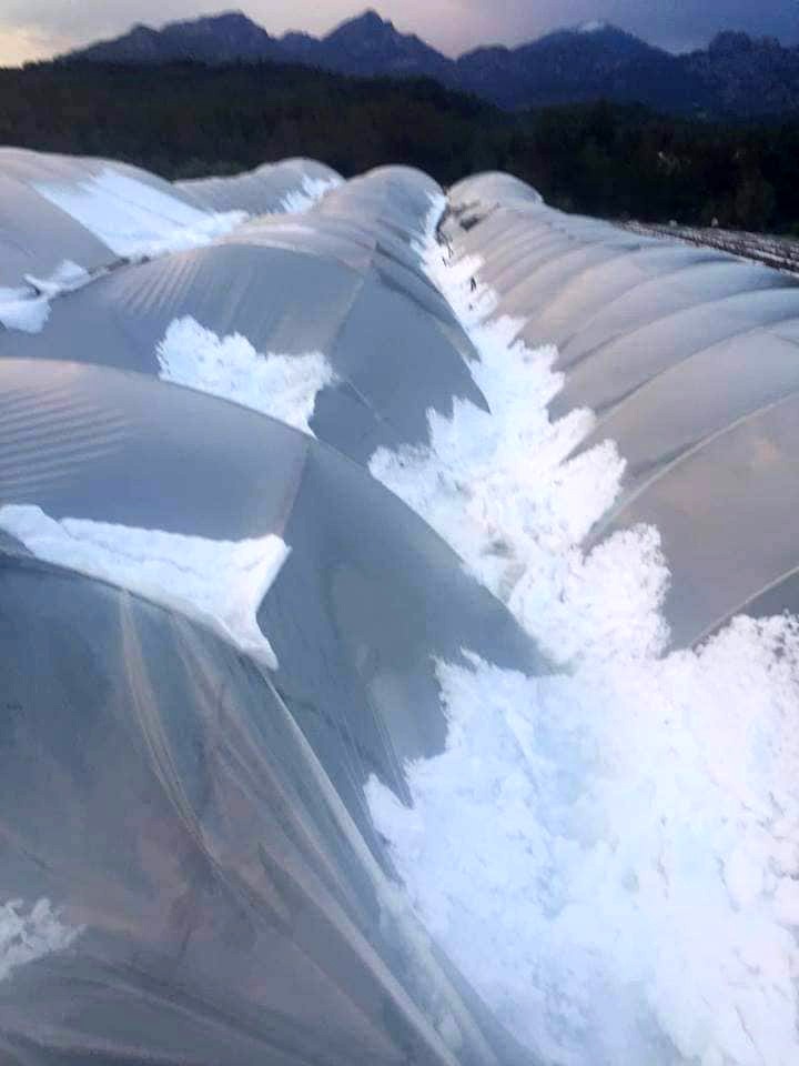 Antalya’da çiftçiyi dolu vurdu