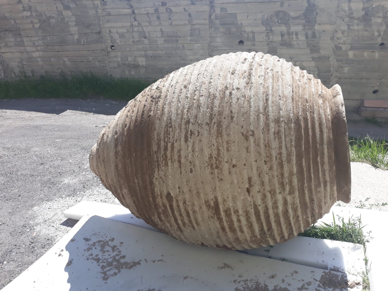 Tarlasını sürerken Roma döneminden kalma 2 bin yıllık pitos buldu