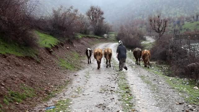 Liseli kız, hayvan otlatarak yazdığı kitabı için sponsor bekliyor