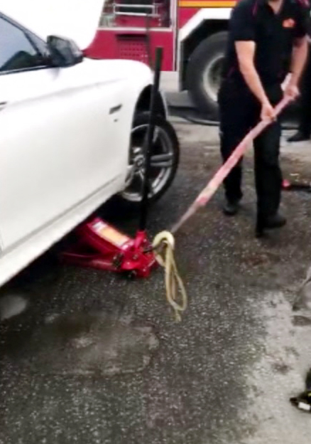 Otomobile giren yılanı böyle çıkardılar!