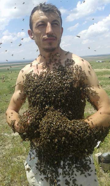 Arı adam görenleri şaşırtıyor