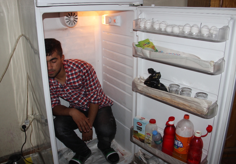 Buzdolabına girerek serinliyor