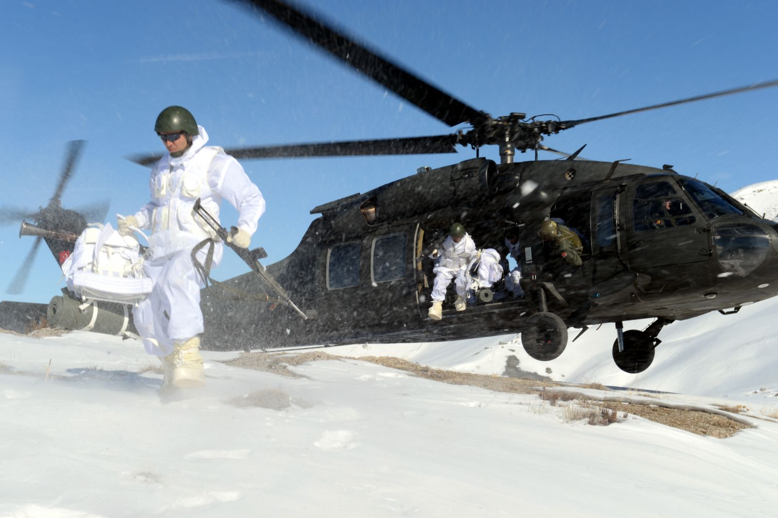Armaları Van Gölü canavarı